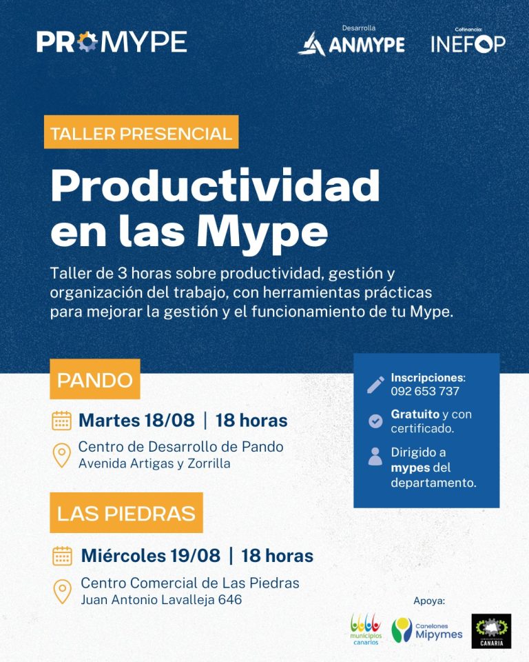 Productividad en las Mype